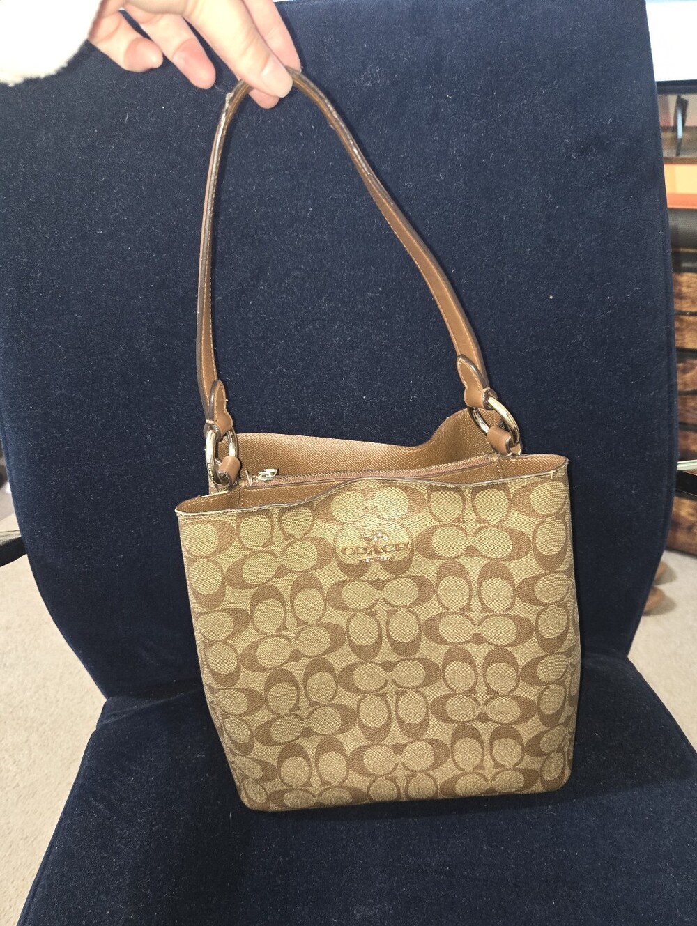 Coach Buckey Bag In Signature Print